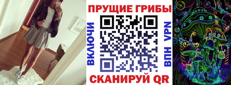 Псилоцибиновые грибы Cubensis  цены наркотик  Порхов 